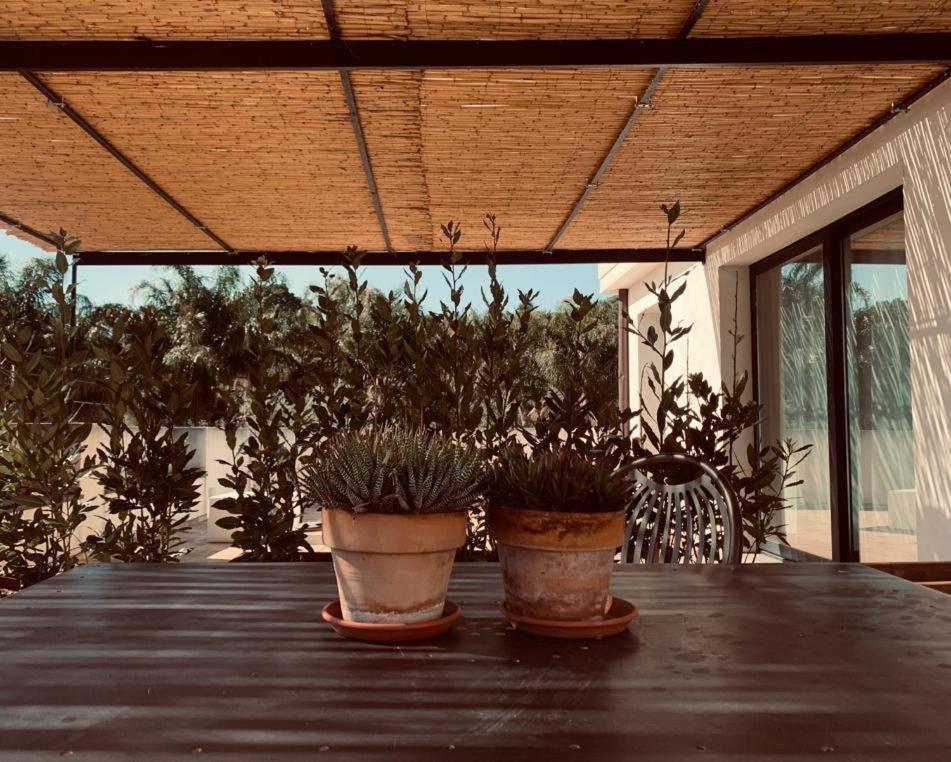 Petrasicula Apartment Aci Trezza Exterior photo